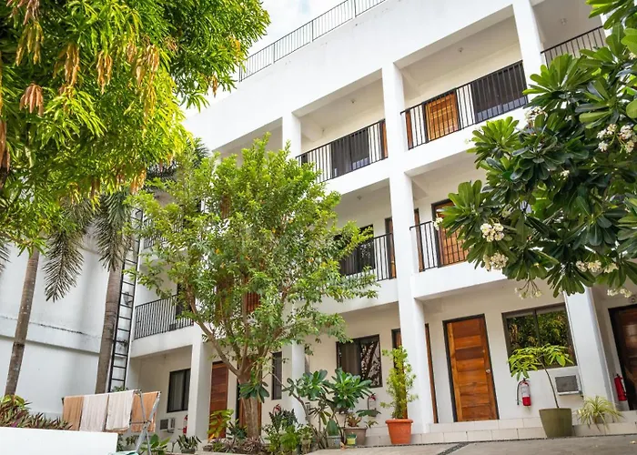 The Palines & - Daang Hari Muntinlupa 3*